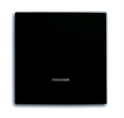 Клавиша для светорегулятора 6550 U-10x, 6560 U-101, 6593 U, 6526 U, реле 6401 U-10x, 6402 U, серия Basic 55, цвет ch?teau-black - фото 116612