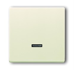 Клавиша для светорегулятора 6550 U-10x, 6560 U-101, 6593 U, 6526 U, реле 6401 U-10x, 6402 U, серия Basic 55, цвет слоновая кость - фото 116615