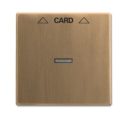 Плата центральная (накладка) для механизма карточного выключателя 2025 U, серия Династия, цвет Латунь античная - фото 117455