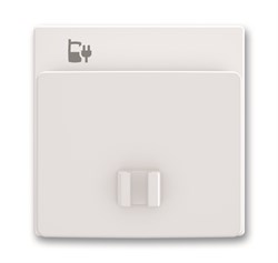 Плата центральная (накладка) для блока питания micro USB - 6474 U, серия Future/Axcent/Carat/Династия, цвет альпийский белый - фото 131140
