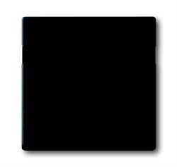 Сенсор комфортного выключателя Busch-Komfortschalter, серия Future/Axcent/Carat/Династия, цвет черный бархат - фото 145703
