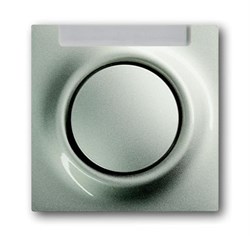 Клавиша для механизмов 1-клавишных выключателей/переключателей/кнопок, с полем для надписи, серия impuls, цвет шампань-металлик - фото 94842