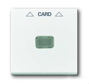 Плата центральная (накладка) для механизма карточного выключателя 2025 U, серия Basic 55, цвет альпийский белый
