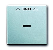Плата центральная (накладка) для механизма карточного выключателя 2025 U, серия Future/Axcent/Carat/Династия, цвет серебристо-алюмин
