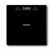 Плата центральная (накладка) для механизма карточного выключателя 2025 U, серия Future/Axcent/Carat/Династия, цвет черный бархат
