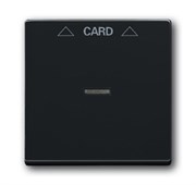 Плата центральная (накладка) для механизма карточного выключателя 2025 U, серия Future/Axcent/Carat/Династия, цвет антрацит/чёрный
