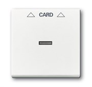 Плата центральная (накладка) для механизма карточного выключателя 2025 U, серия Future/Axcent/Carat/Династия, цвет альпийский белый